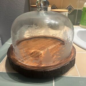 Glass Dome with Wooden Base